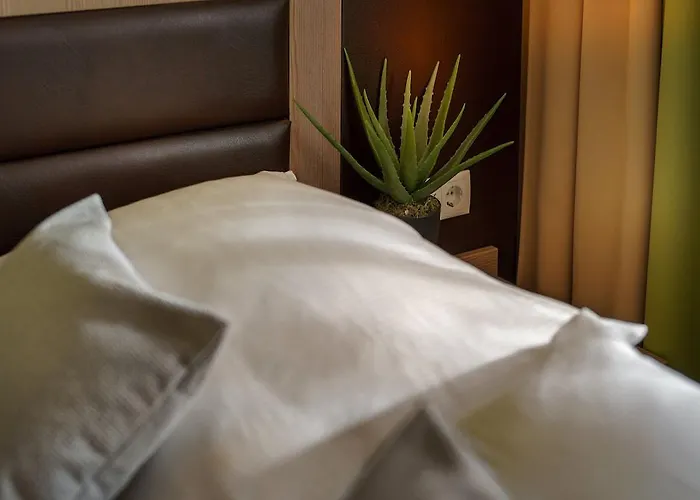- The Niu, Fusion St. Georg By Ihg